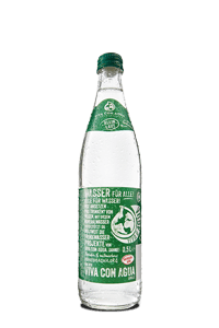 Viva con Agua Kleinlaut 500ml NRW Glasflasche